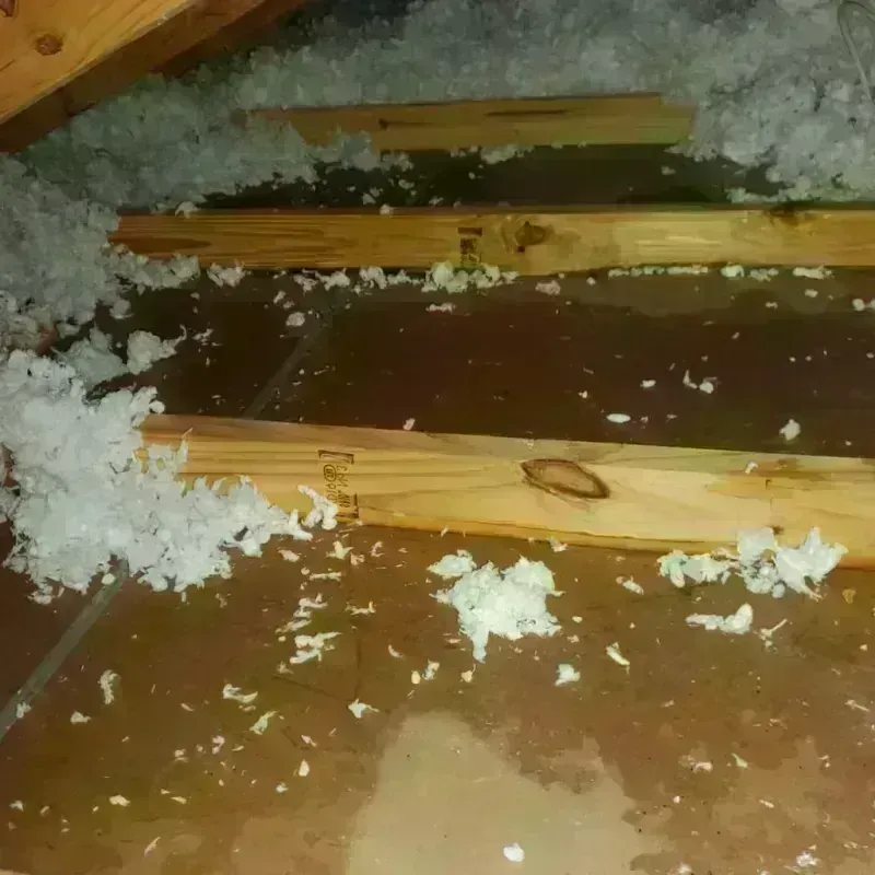 Attic Water Damage in Cedar Park, TX