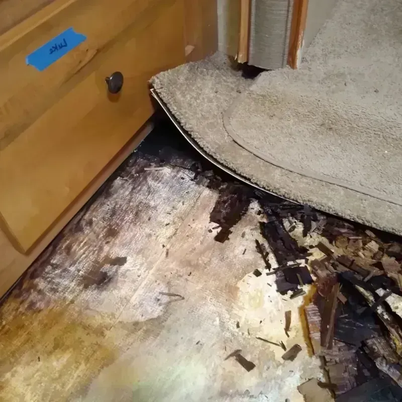 Wood Floor Water Damage in Cedar Park, TX